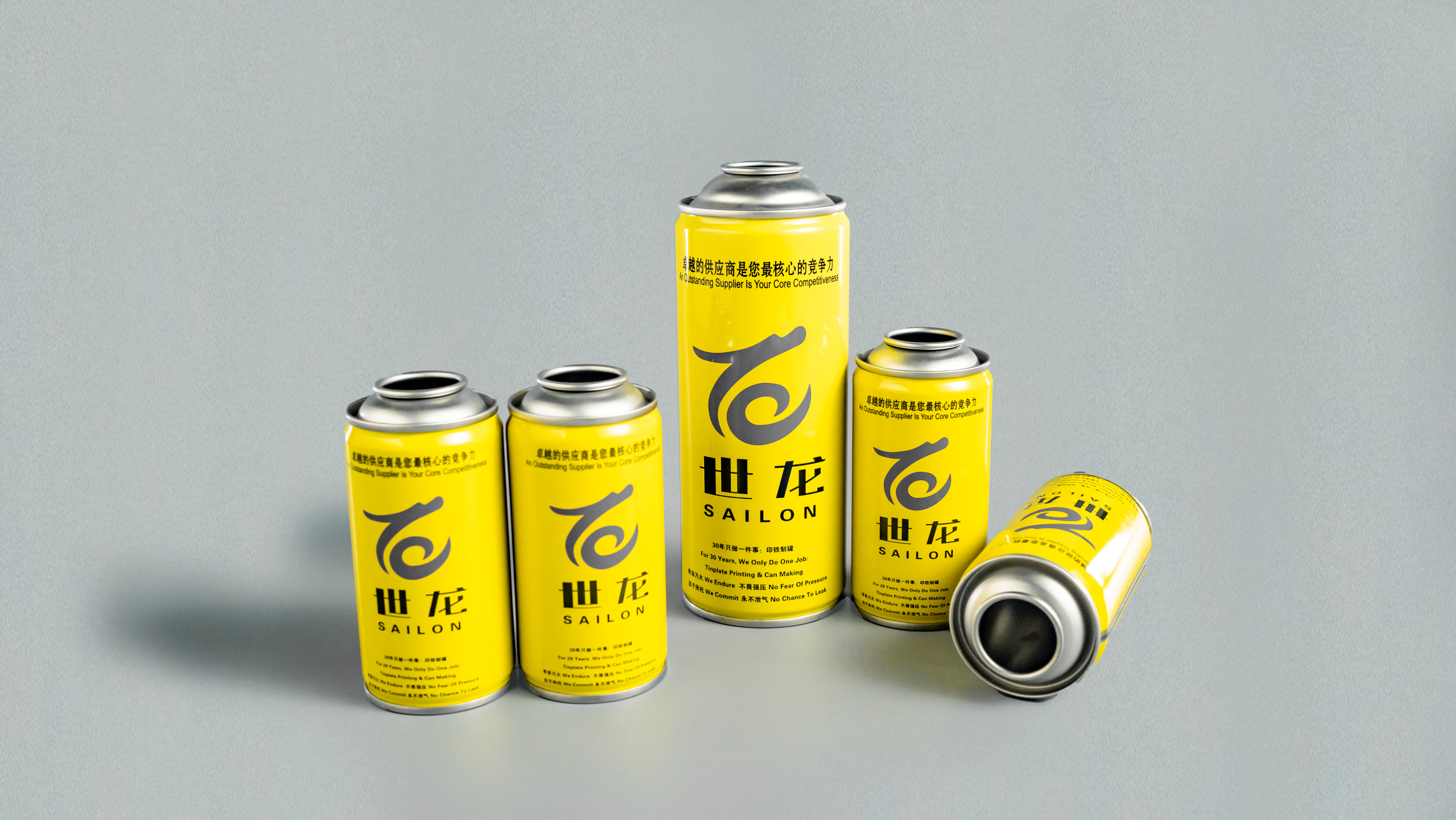 Aerosol Tin Cans: Custom Printed Premium Cosmetic Packaging – Offset Printing for Luxury Tinplate Look